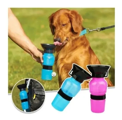 Aqua Dog