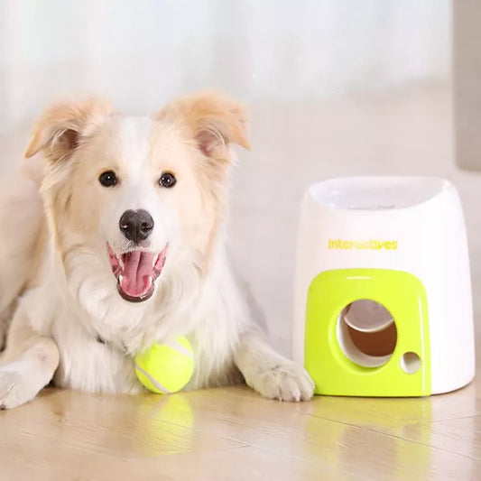 Fetch´n Treat Lanzador de Snacks