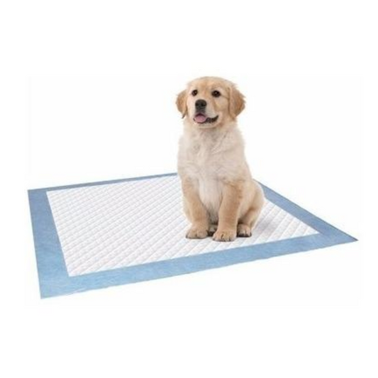 Tapete Entrenador Absorbente